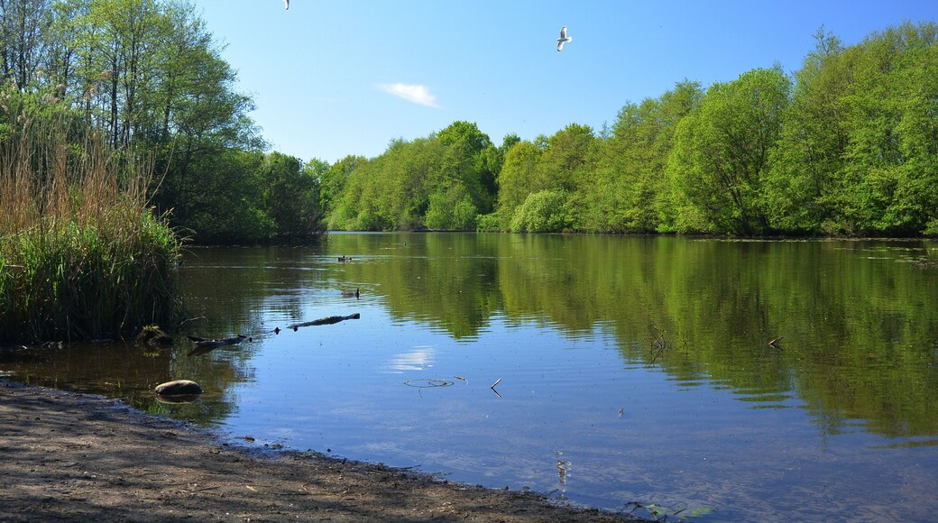 Helmuth-Schack-See, Hamburg