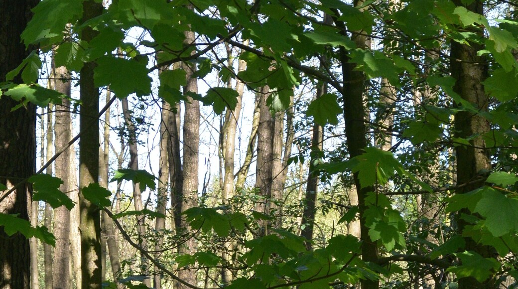 Landschaftsschutzgebiet Osdorf, Hamburg