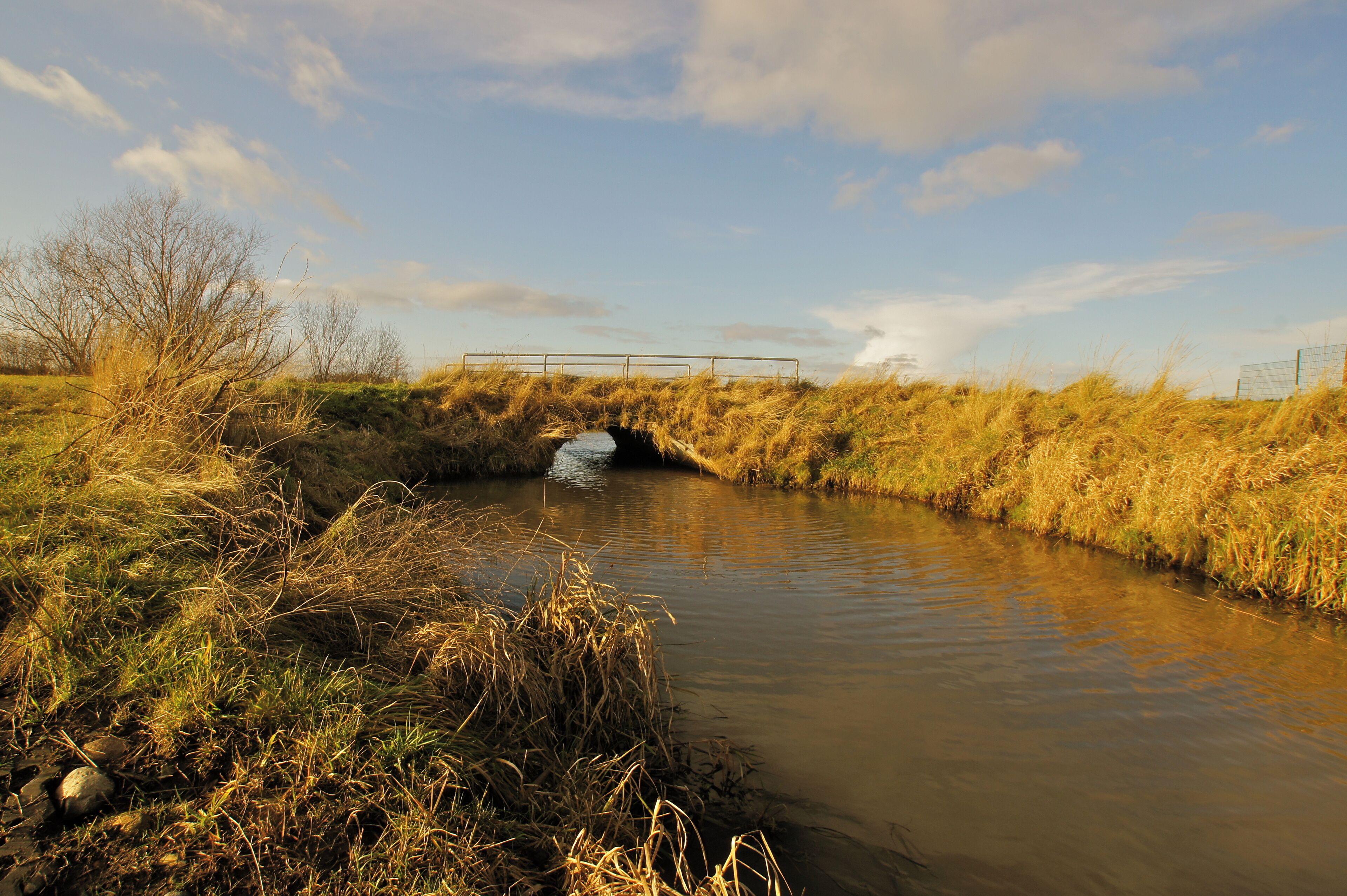 Hamburg (Allermöhe), Germany: The Möwenfleet joins the Hauptentwässerungsgraben Allermöhe