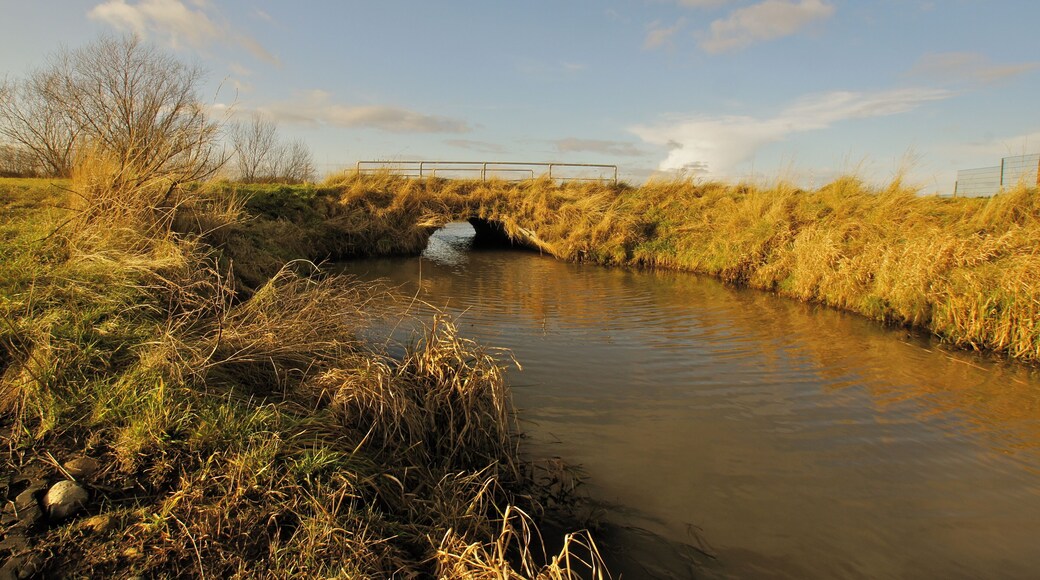 Hamburg (Allermöhe), Germany: The Möwenfleet joins the Hauptentwässerungsgraben Allermöhe