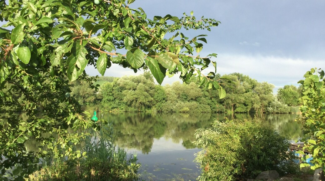 A green place by Main