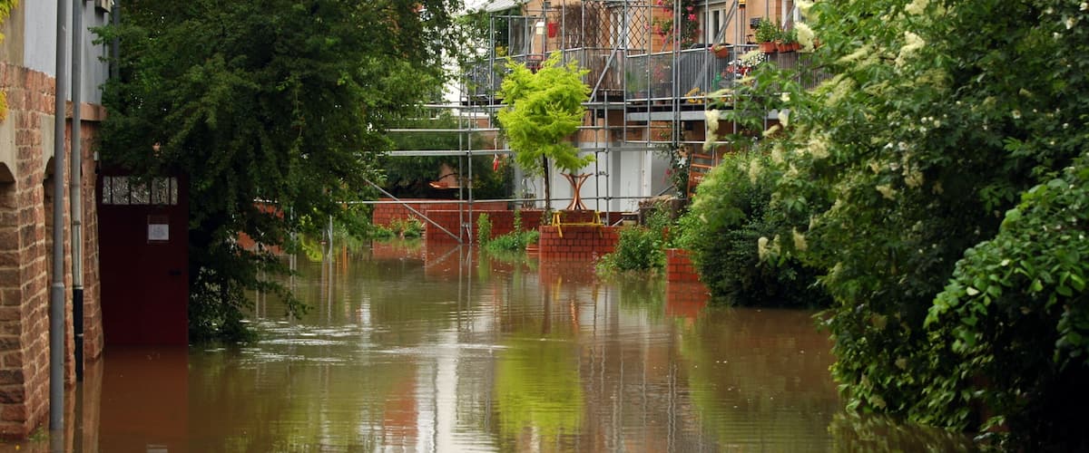 Hochwasser in Heidelberg am 30 MAi 2016