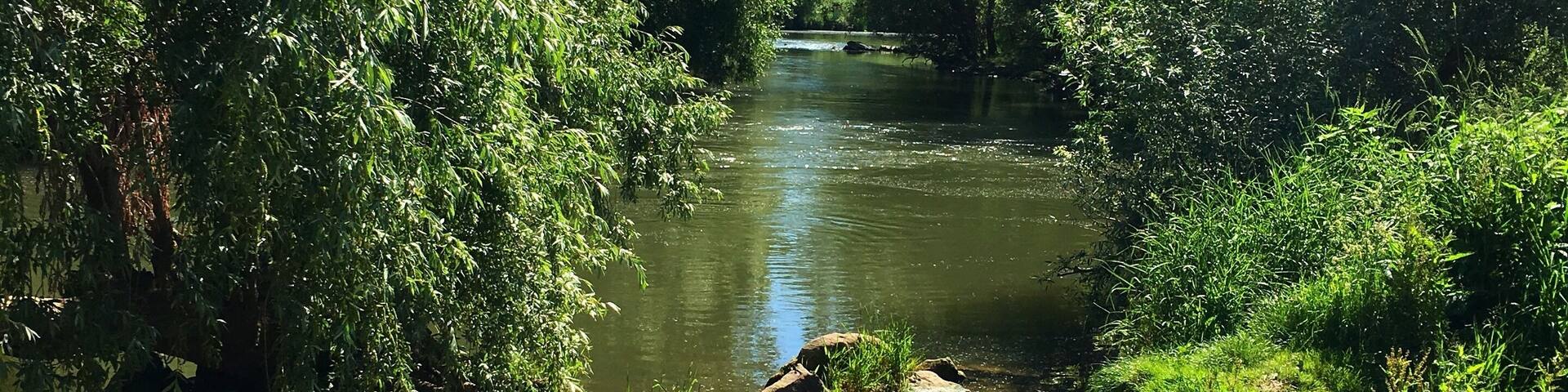 Heidelberg Naturschutzgebiet unterer Neckar. Ein sonniger Tag.