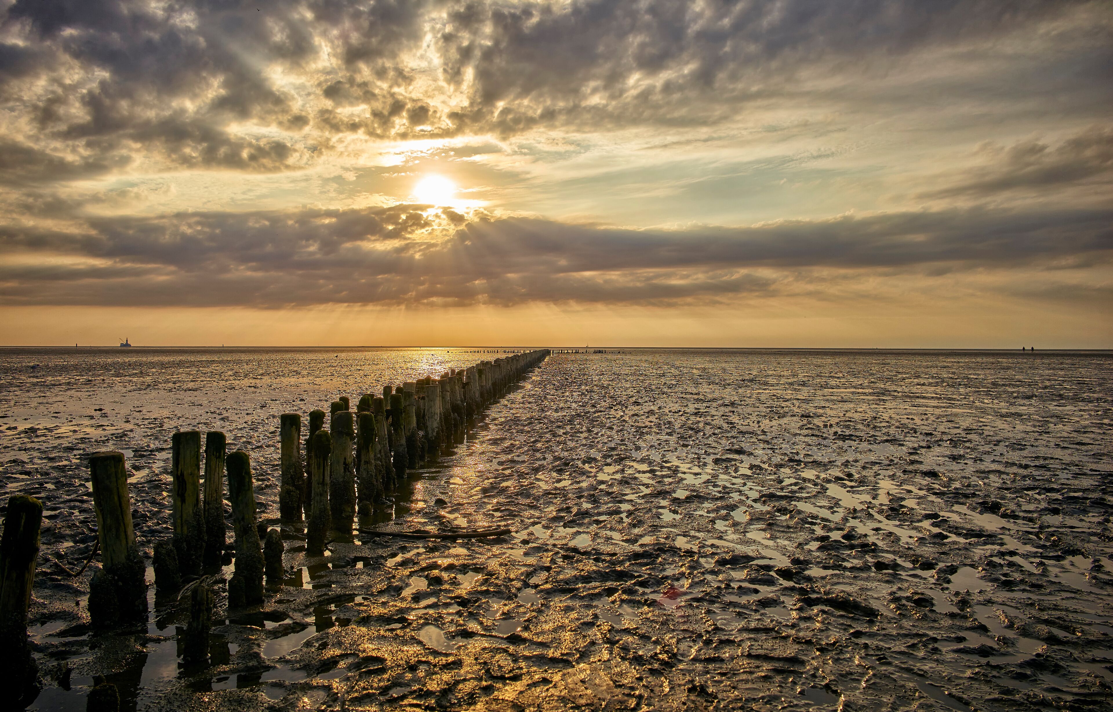 Germany, Dithmarschen, Friedrichskoog-Spitze, Sunset at the North Sea tidelands
