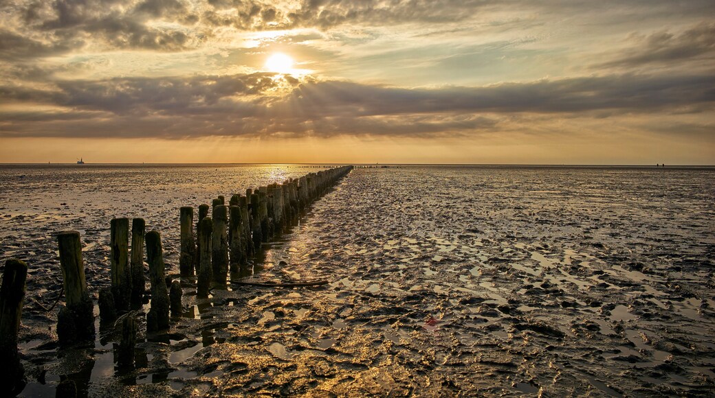 Friedrichskoog-Spitze