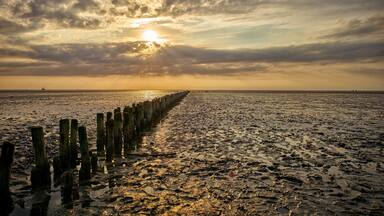 A beach with a wooden pier extending into the water during sunset.