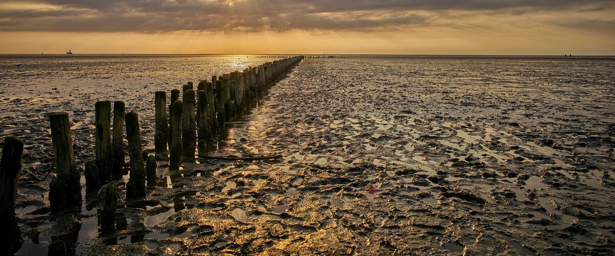 A beach with a wooden pier extending into the water during sunset.