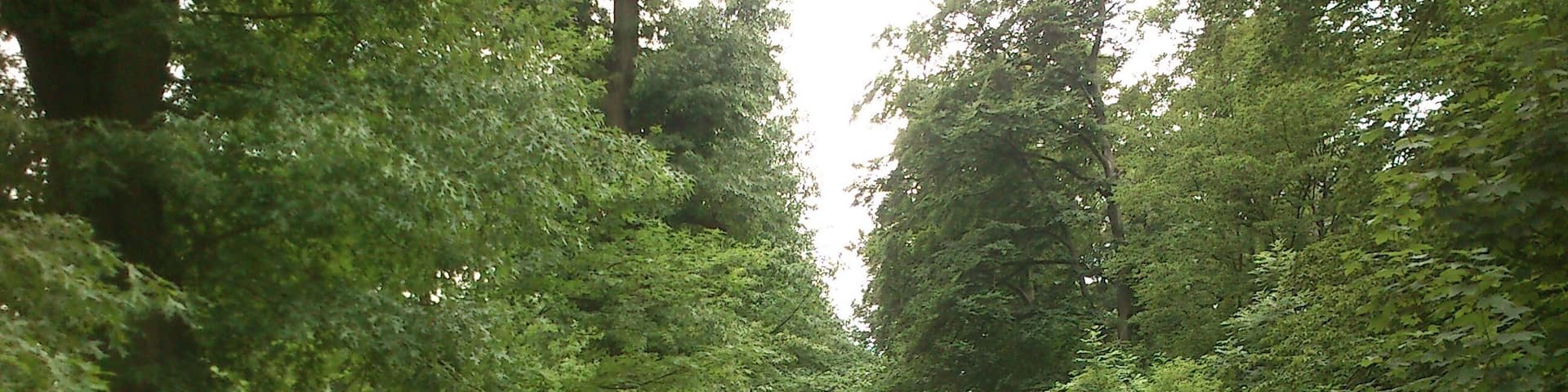 This is a photograph of an architectural monument., no. 1234