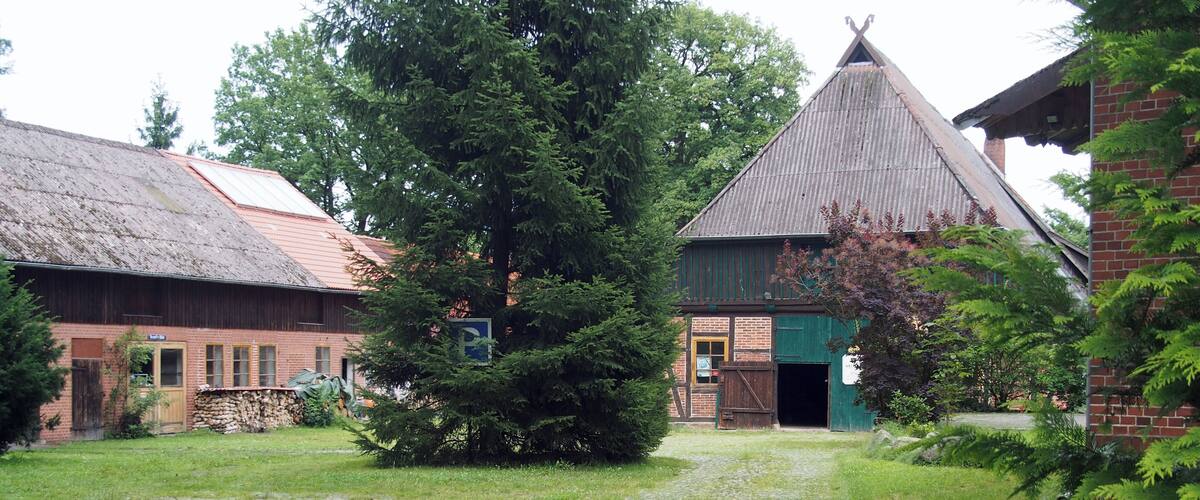 A cobblestone path leading to a rustic building with a green door, surrounded by lush greenery and trees.
