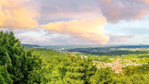 Blick über die Deutsche Weinstrasse zwischen Hambach und Neustadt an der Weinstrasse, Deutschland