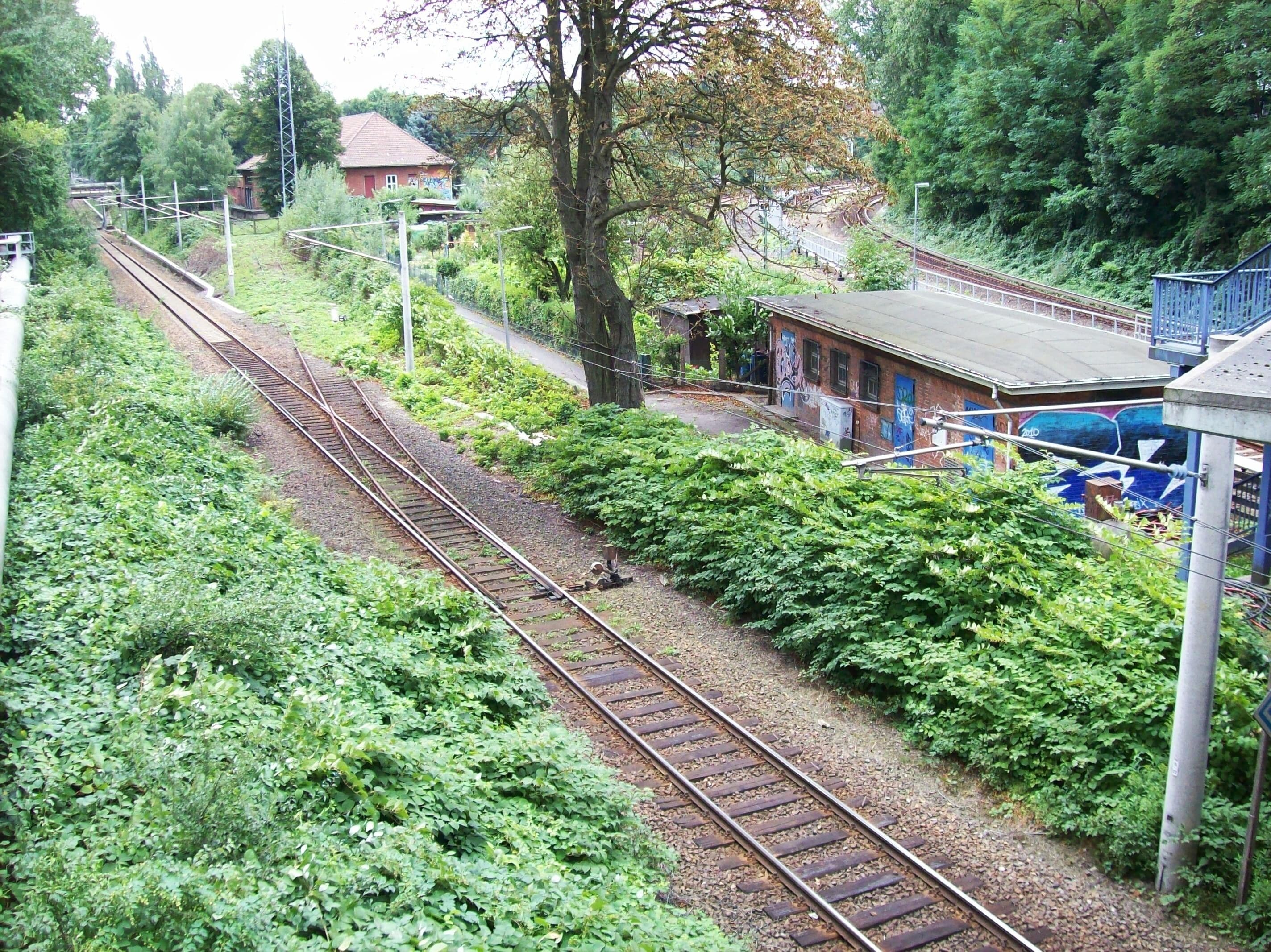 Blick von der Pappelalleebrücke in Hamburg-Eilbek nach Süden: Links Güterumgehungsbahn, rechts S-Bahn von Poppenbüttel Richtung Hauptbahnhof-Blankenese-Wedel, dazwischen Bahnanlagen und Kleingärten