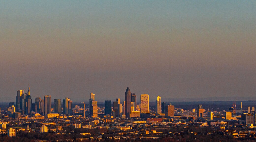 the skyline of frankfurt am main germany panorama