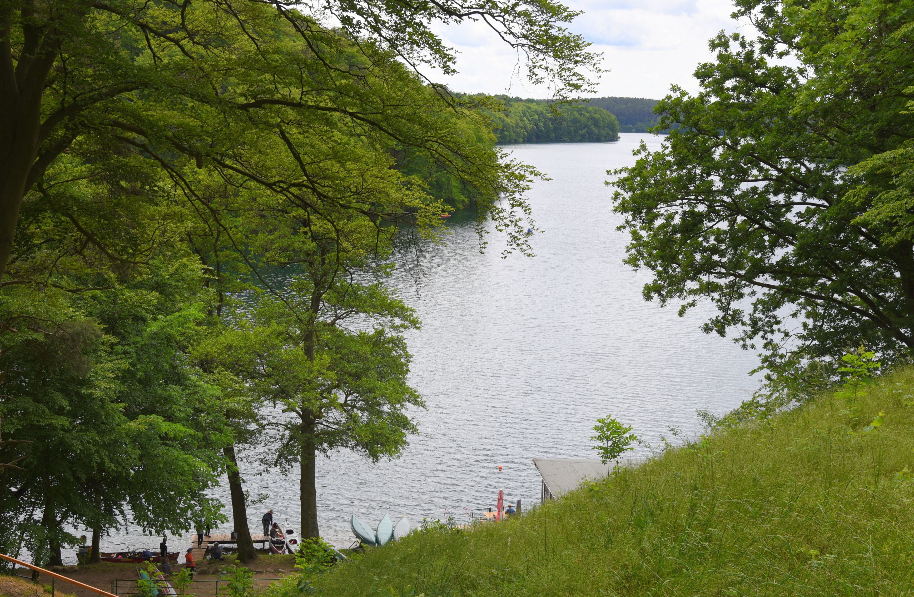 คาร์วิทซ์