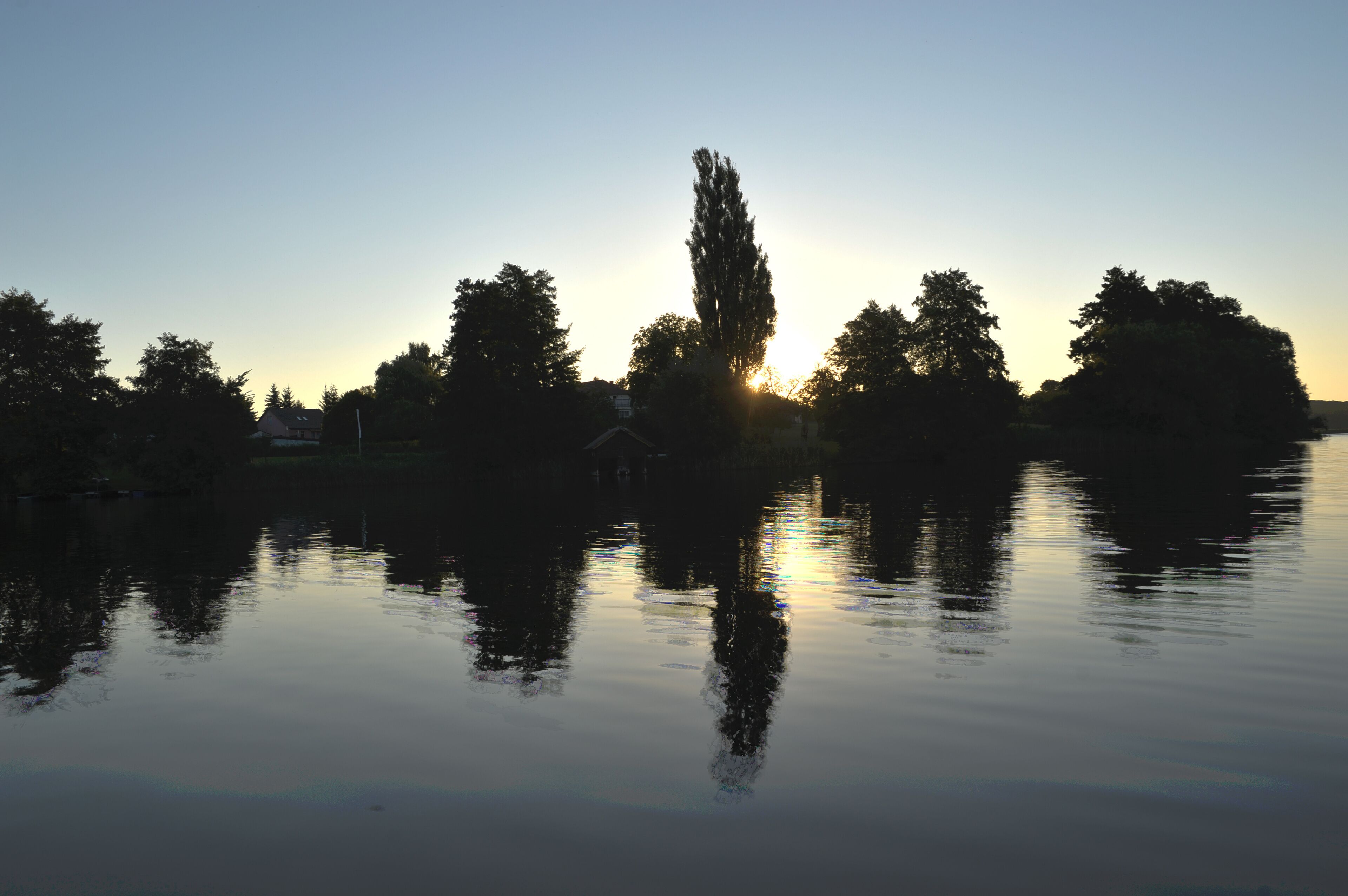 คาร์วิทซ์