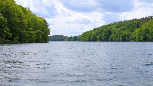 Pure Natur und Stille am Schmalen Luzin