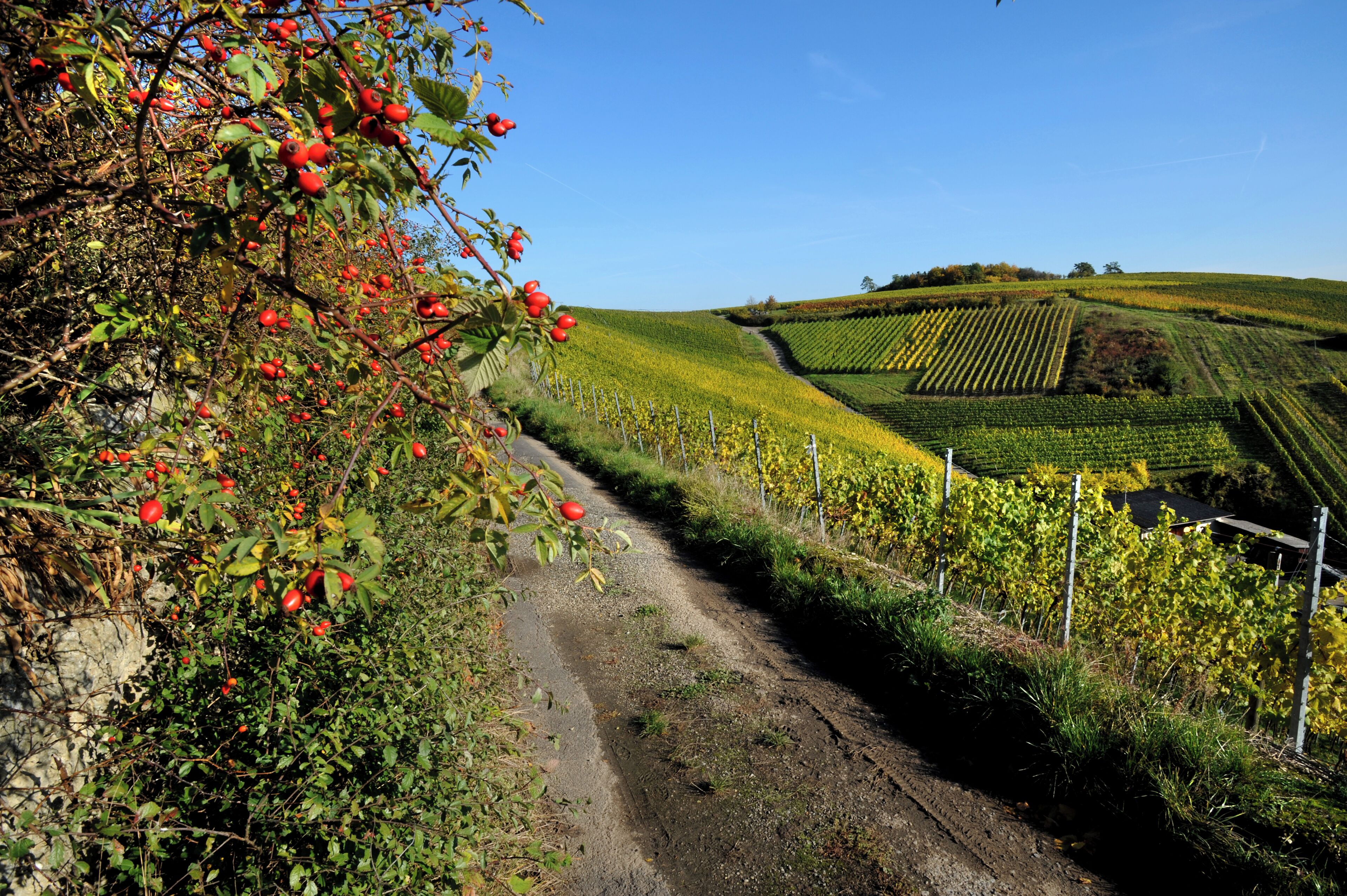 The beautiful wine village Beckstein.
