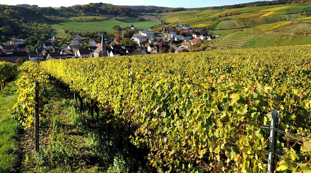 The beautiful wine village Beckstein.