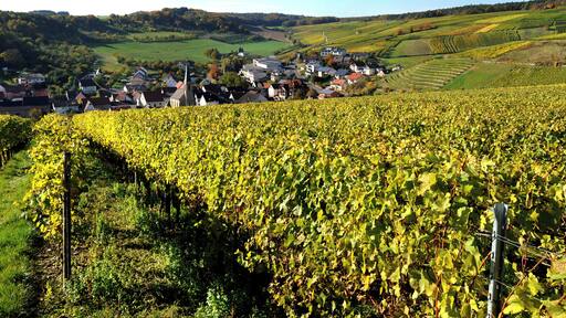 The beautiful wine village Beckstein.