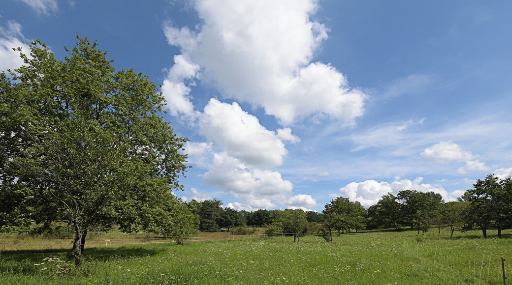 Kernesbellen ist ein Naturschutzgebiet in Darmstadt-Eberstadt