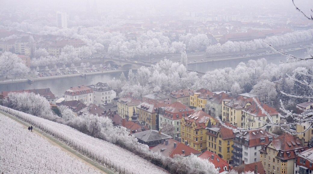 aerial view of würzburg, germany
