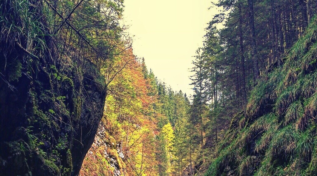 Very nice hiking place for a whole day!
There is a restaurant in the middle of the path.