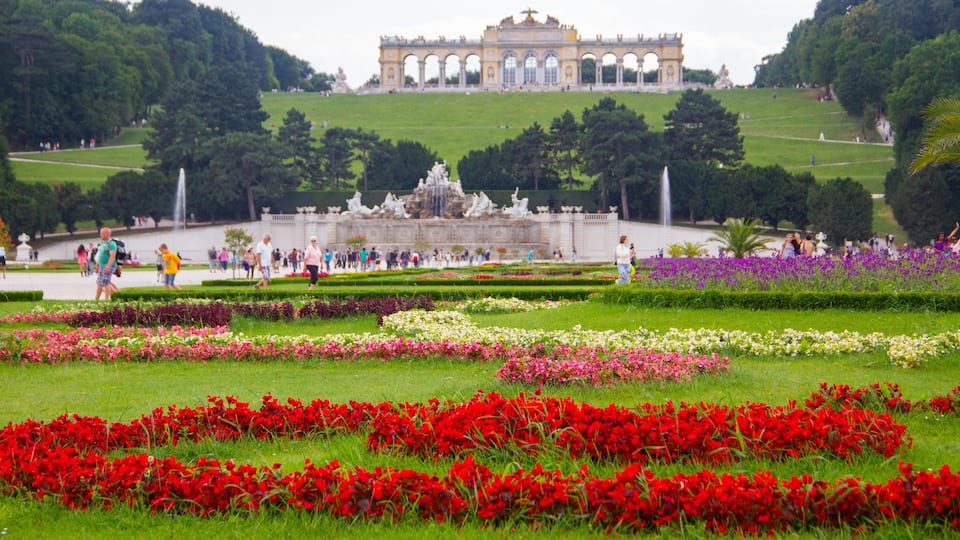 Schönbrunn which includes a garden and flowers