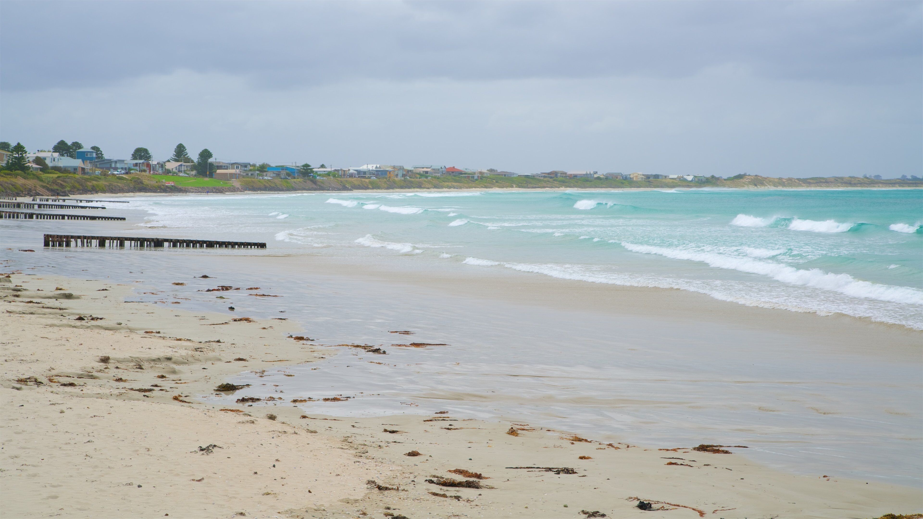 East Beach which includes general coastal views and a beach