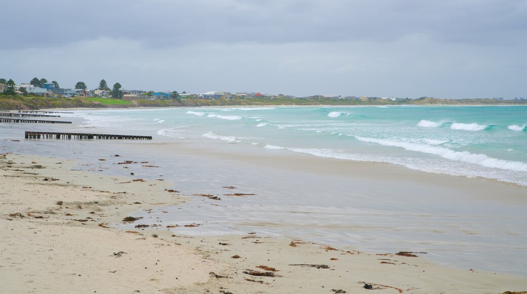East Beach which includes general coastal views and a beach