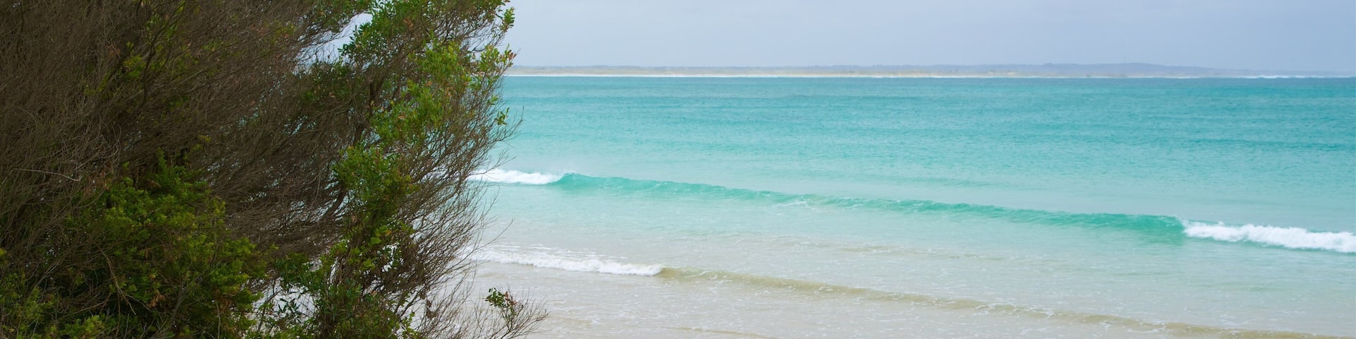 Port Fairy which includes rocky coastline