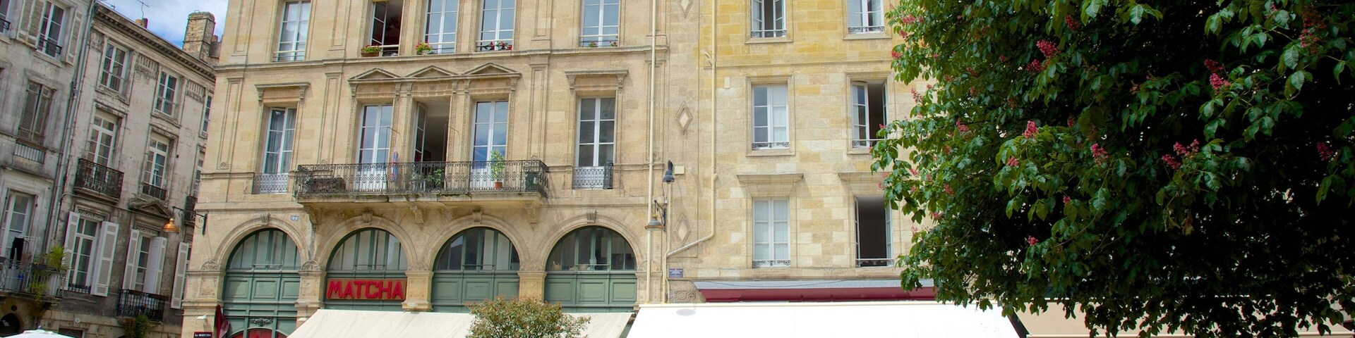 Burdeos mostrando compras y una plaza