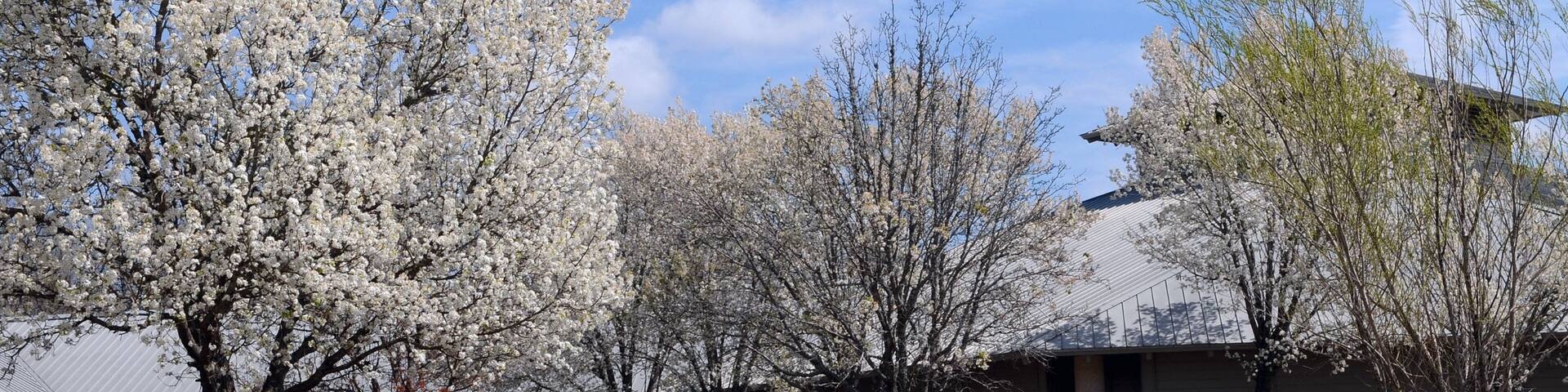 Arkansas Museum of Natural Resources which includes wildflowers and signage