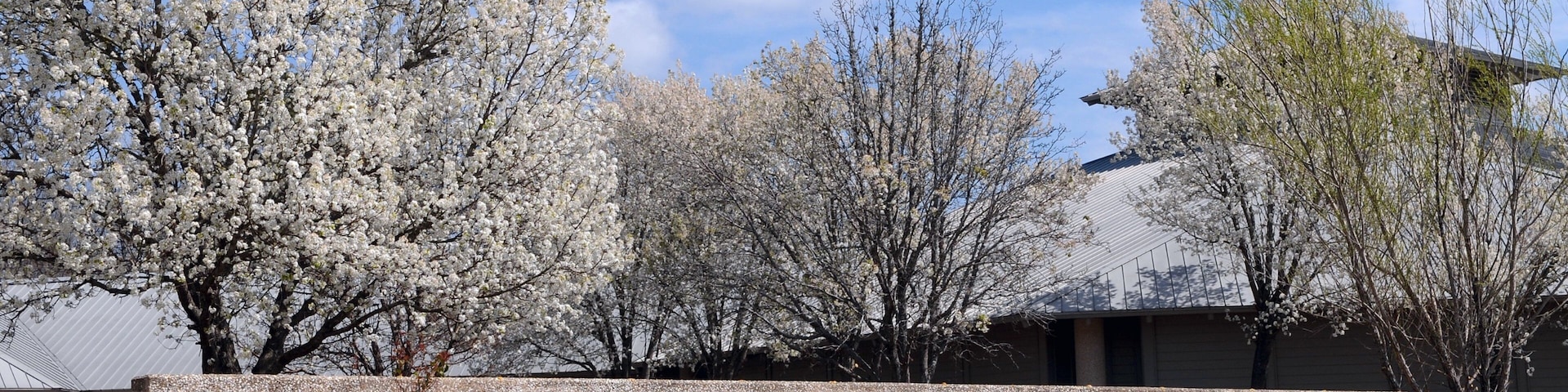 Arkansas Museum of Natural Resources which includes wildflowers and signage