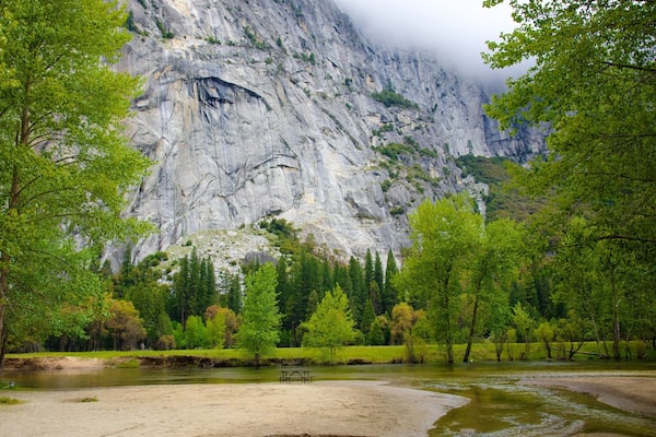 Yosemite National Park welches beinhaltet ruhige Szenerie und Fluss oder Bach