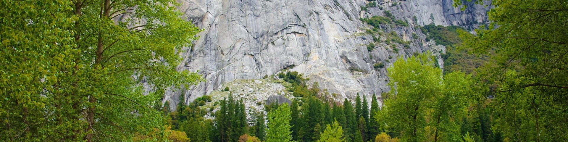 Yosemite National Park caracterizando um rio ou córrego e cenas tranquilas