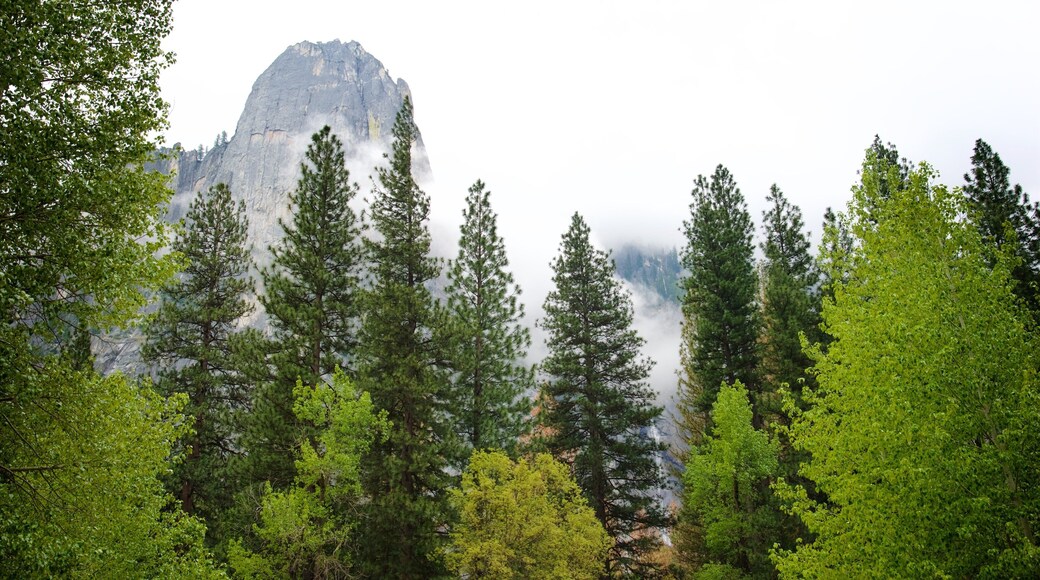 Sentinel Beach Picnic Area