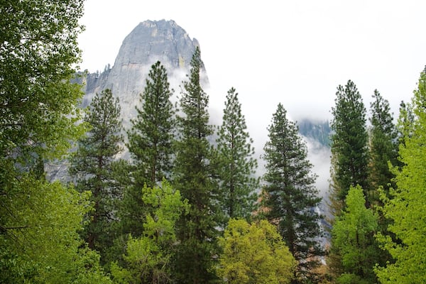 Sentinel Beach Picnic Area