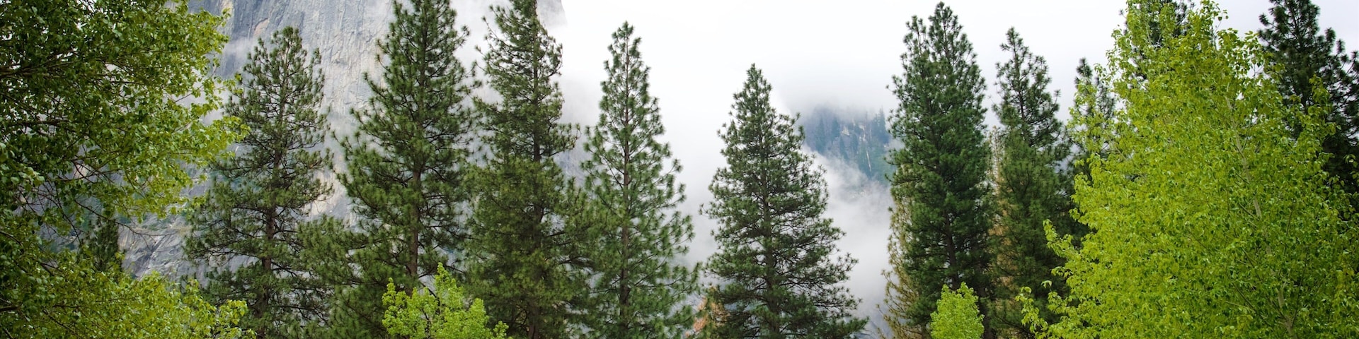 Sentinel Beach Picnic Area