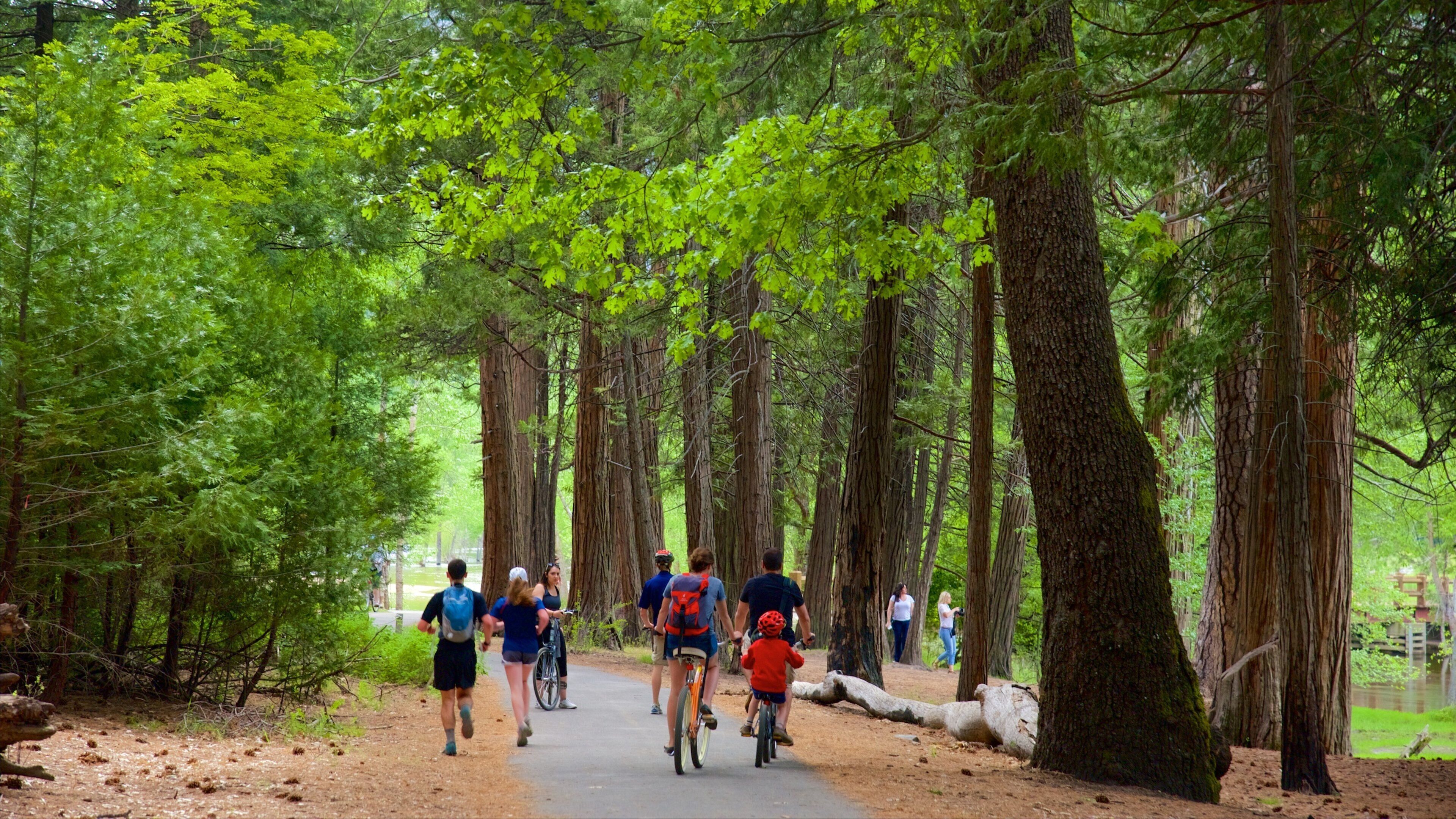Sentinel Beach Picnic Area
