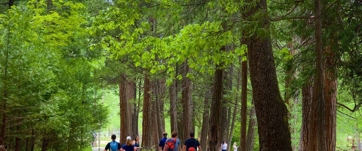 Sentinel Beach Picnic Area