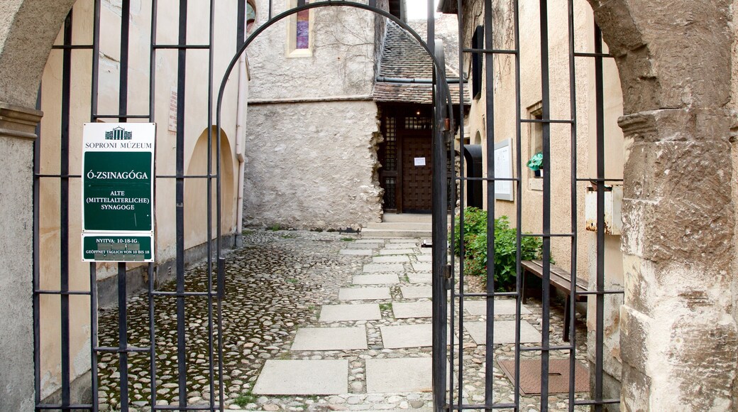 Medieval Synagogue
