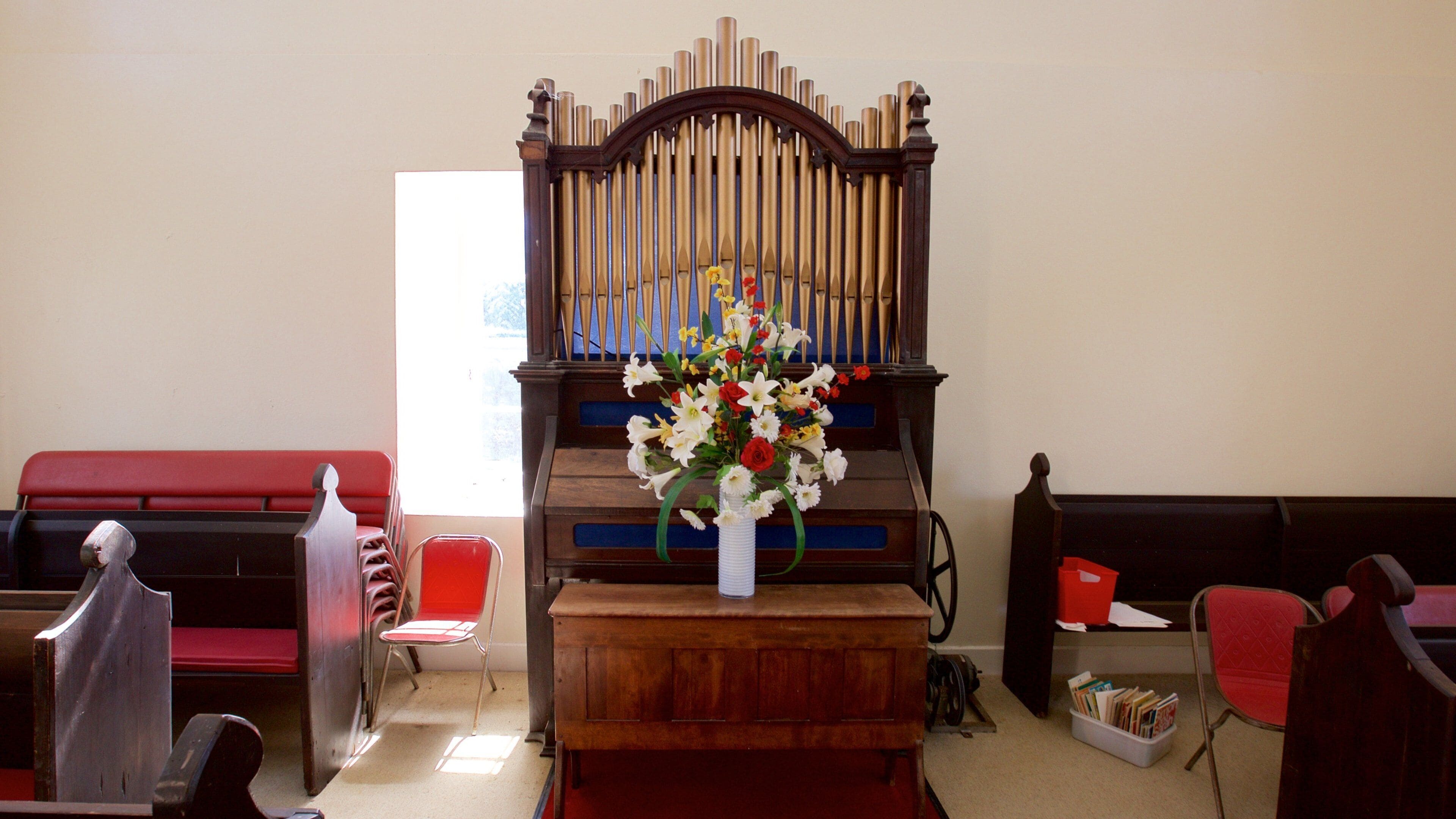 Isla Norfolk mostrando una iglesia o catedral, flores y vistas interiores