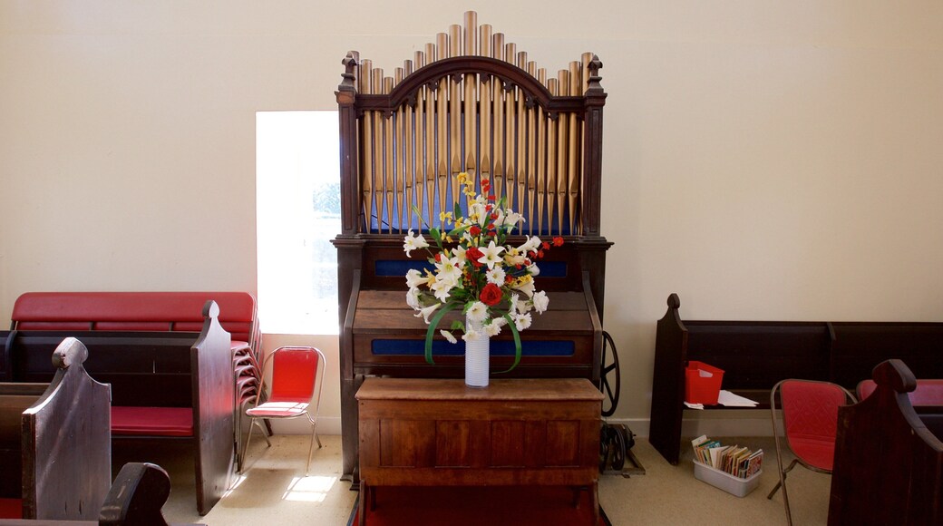 Norfolk Island which includes flowers, interior views and a church or cathedral