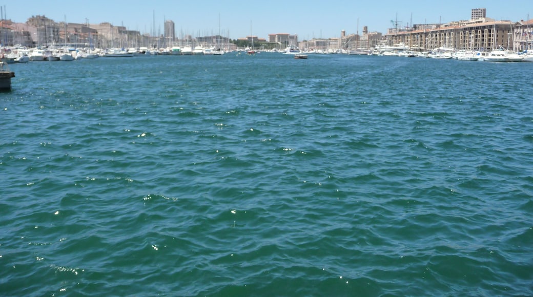 Vue du vieux Port depuis le Quai de la Fraternité, Marseille