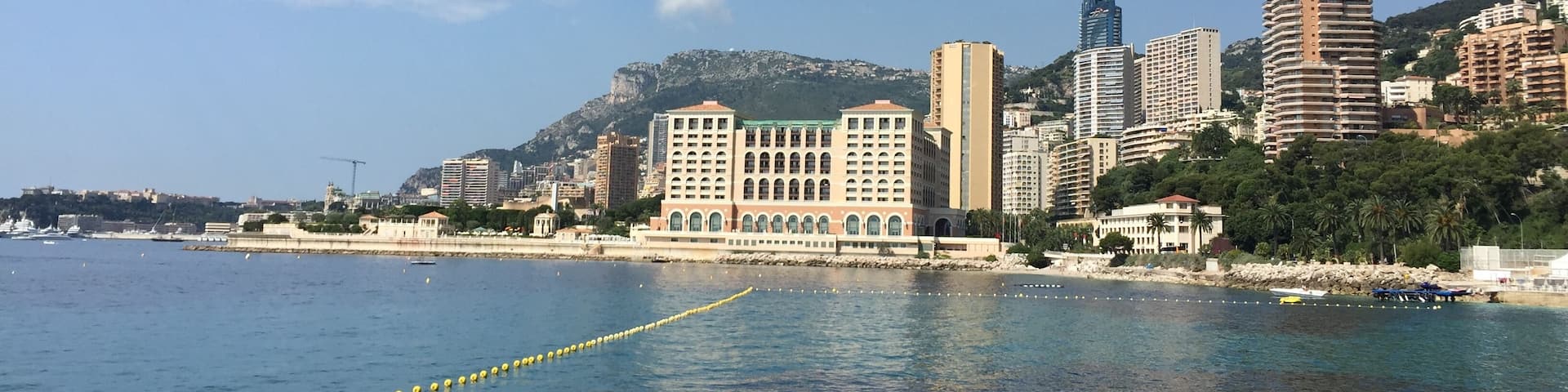 Leisure Drone flight