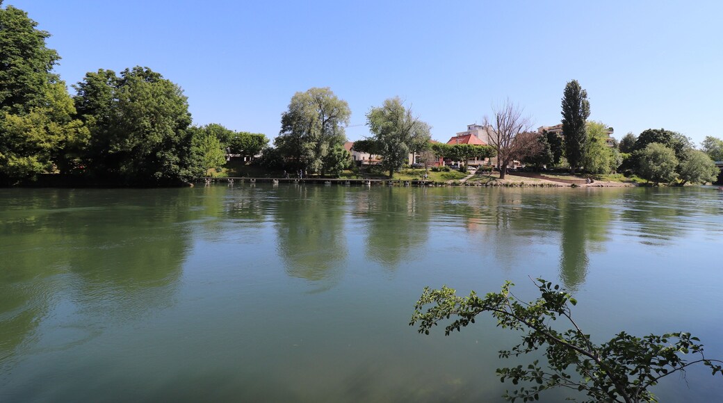 La rivière Marne et ses rives à Champigny sur Marne, ville de Champigny sur Marne, département du Val de Marne, Ile de France, France
