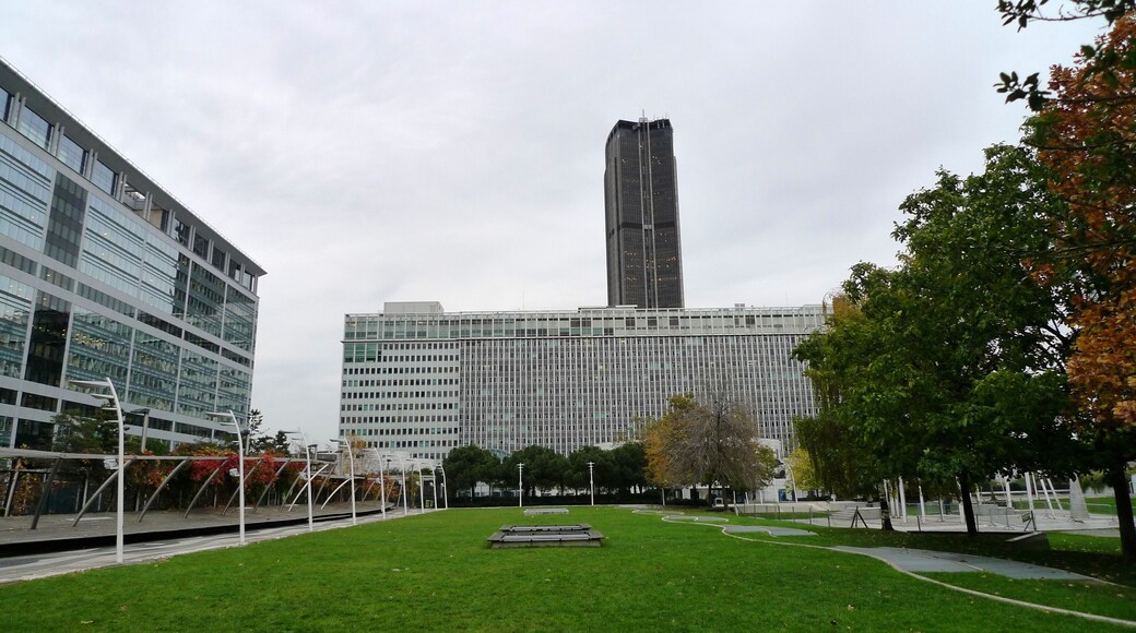 Construit en 1994 au dessus des voies de la Gare Montparnasse, il fait près de 3,5 hectares, et est recouvert d’une végétation dense et persistante. Il est entouré d’immeubles, ce qui en fait un endroit à l’abri du vent, et clos, presque intime.