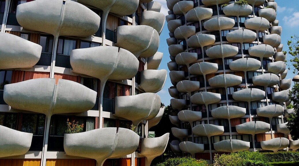 Les Choux de Créteil