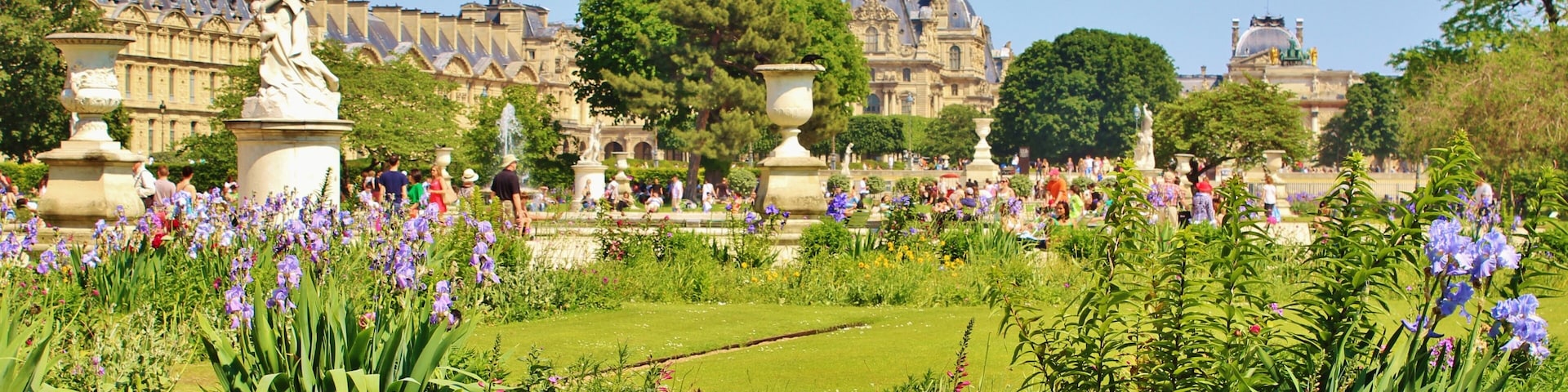 A lush garden with purple irises, a fountain, and classical statues.
