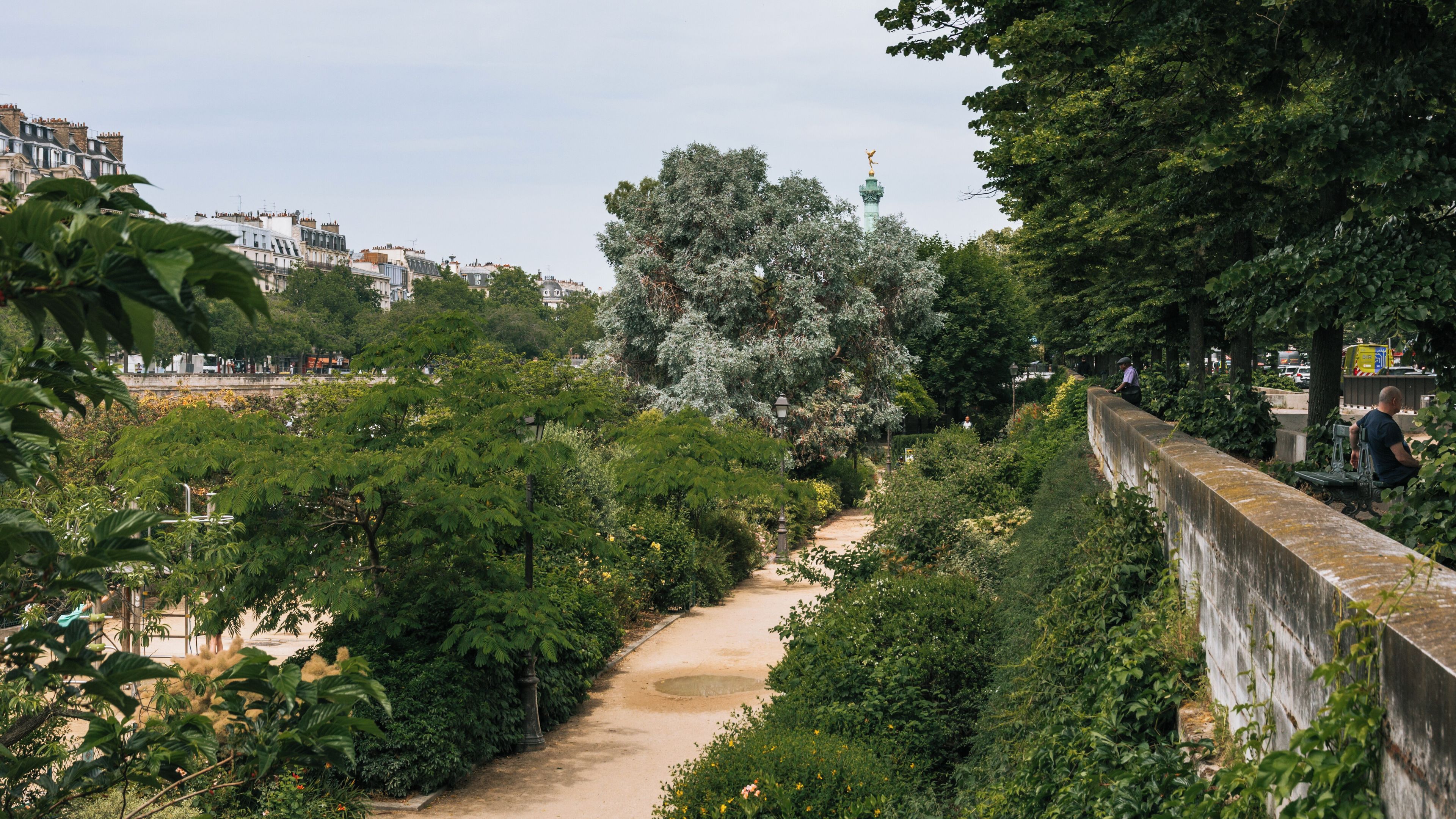 Ein Park mit einem Weg, dichtem Grün, einem großen Baum und einem Gebäude in der Ferne.