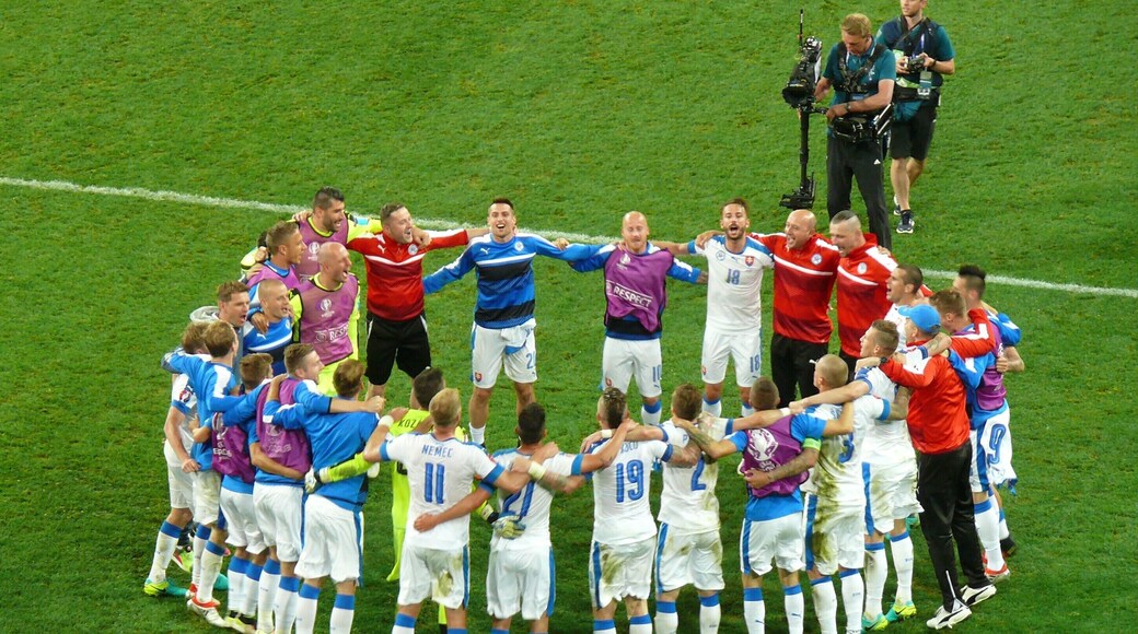 UEFA Euro 2016: Slovak national team celebrating victory over Russia 2:1, Lille, 15.6.2016
